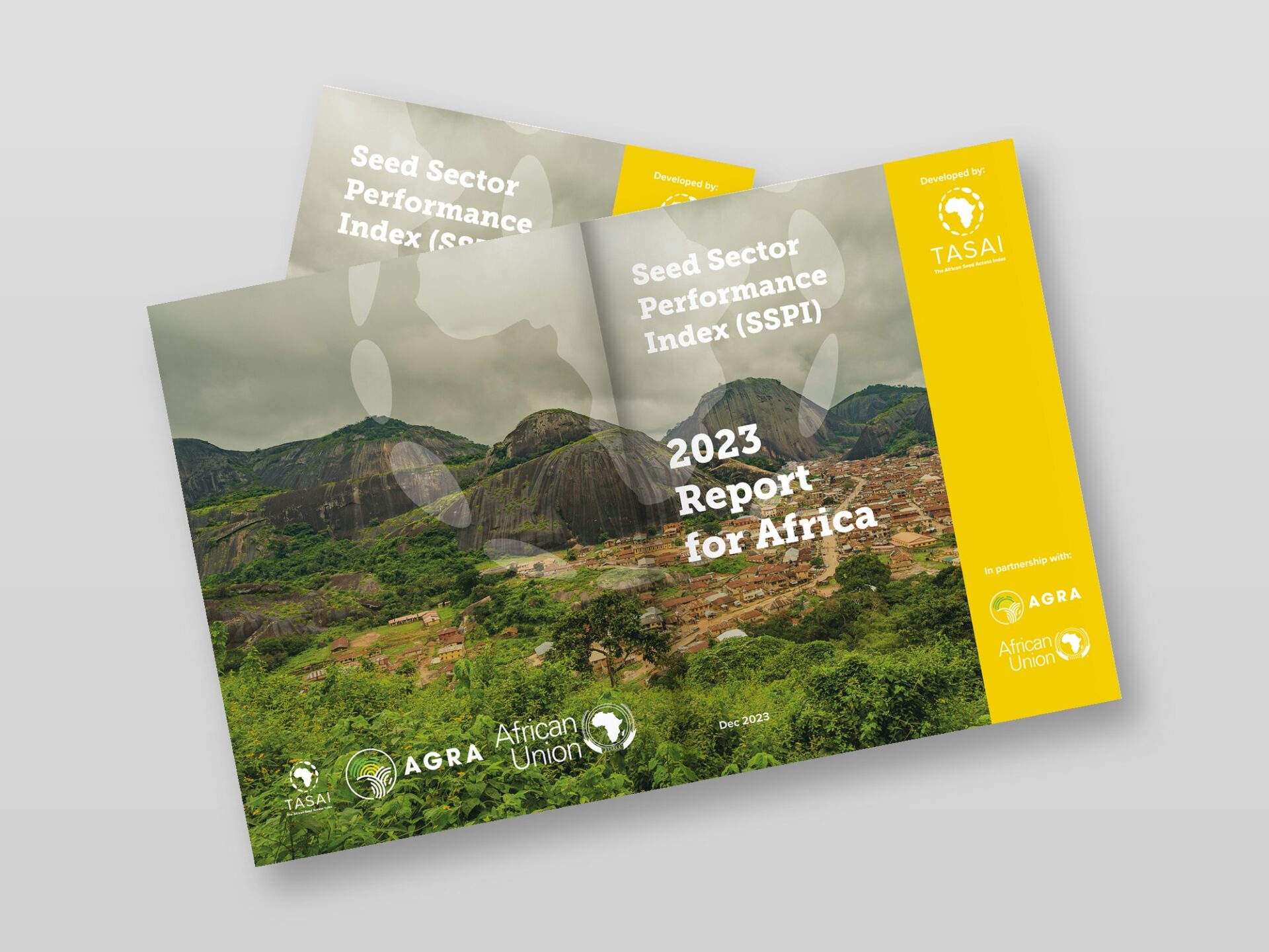 TASAI Reports – Successive Annual Editions A stack of successive annual editions, showing the consistent cover system across the series