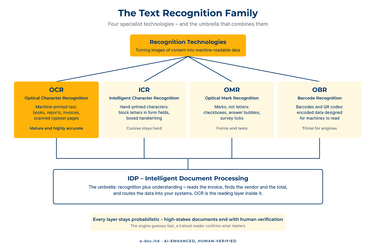 What is OCR – taxonomy diagram of text recognition technologies: OCR, ICR, OMR, OBR and IDP